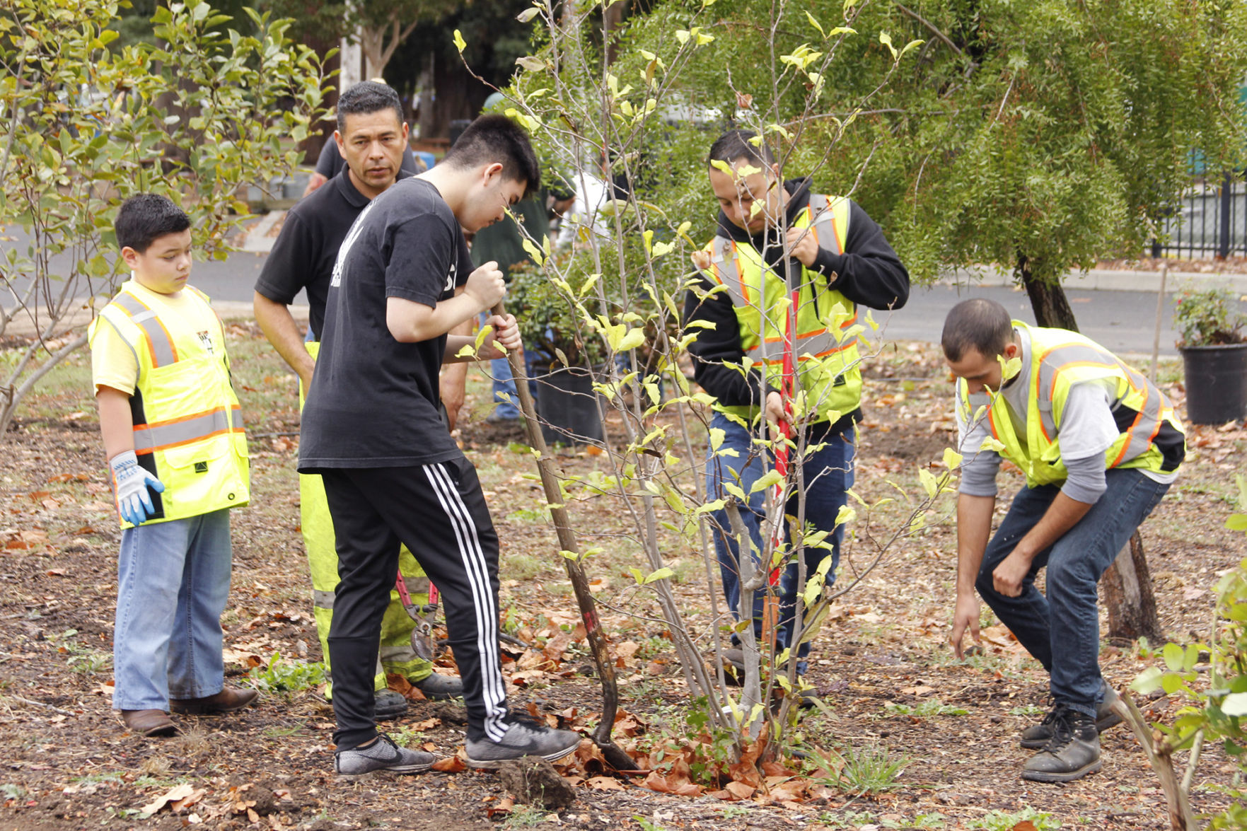 Master Gardeners: The flowering trees of Fuller Park | Master Gardener 1 Arbor Day at Fuller Park